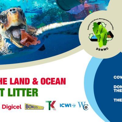 Flyer for the Anti Litter Campaign
