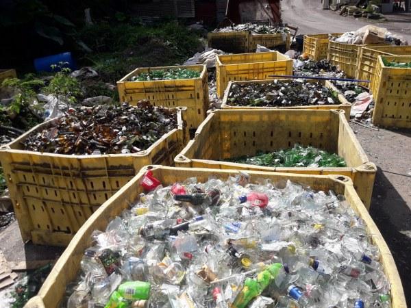 Many bins of broken glass bottles ready for recycling
